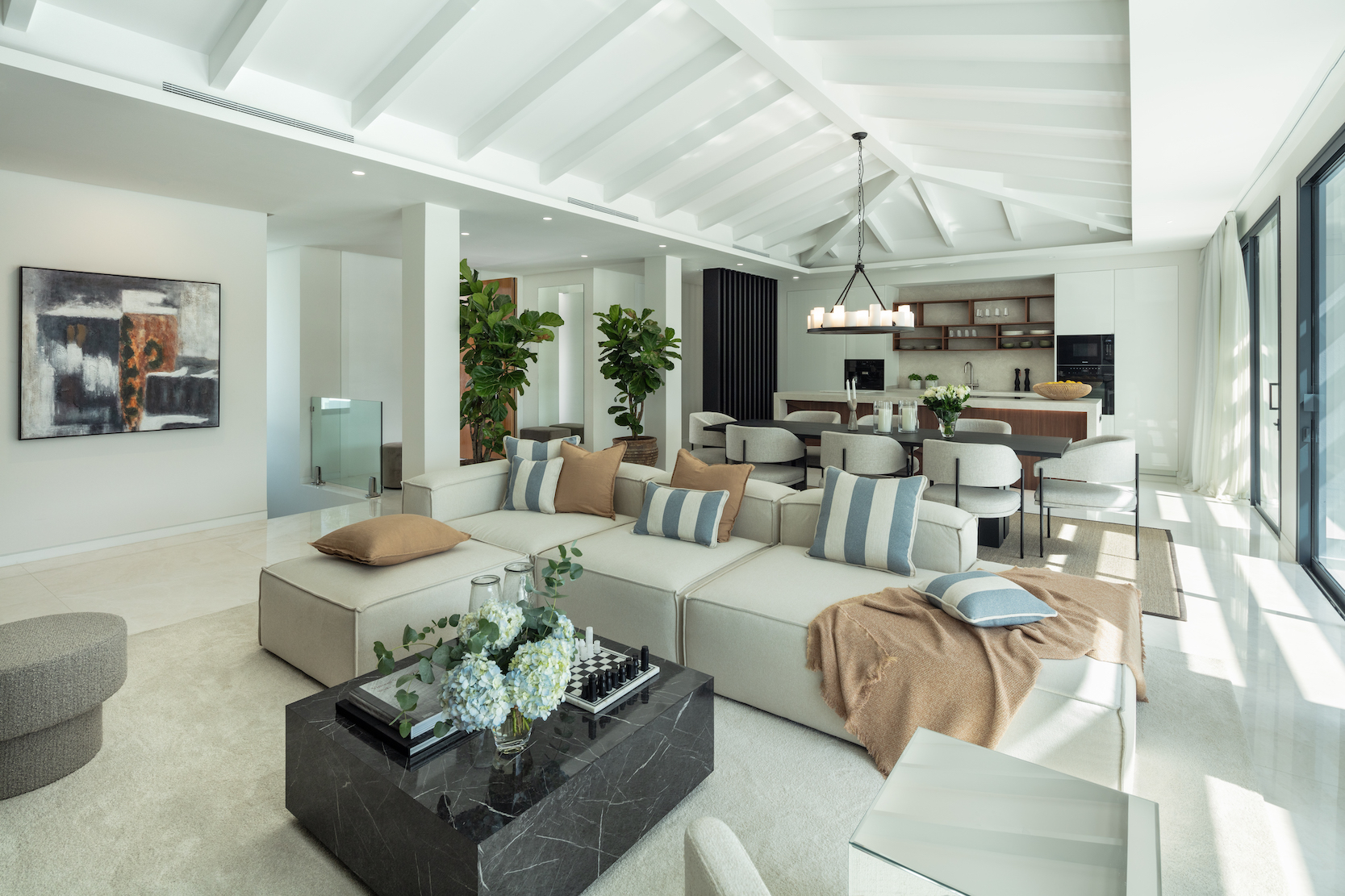 Spca Visual Marbella MG 3492 Edit